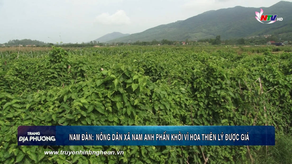 Trang địa phương ngày 03/09/2019