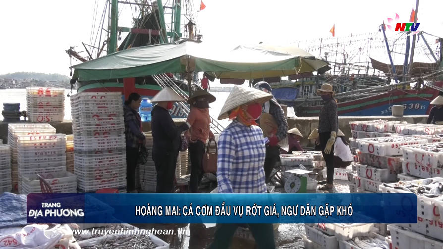 Trang địa phương ngày 04/09/2019