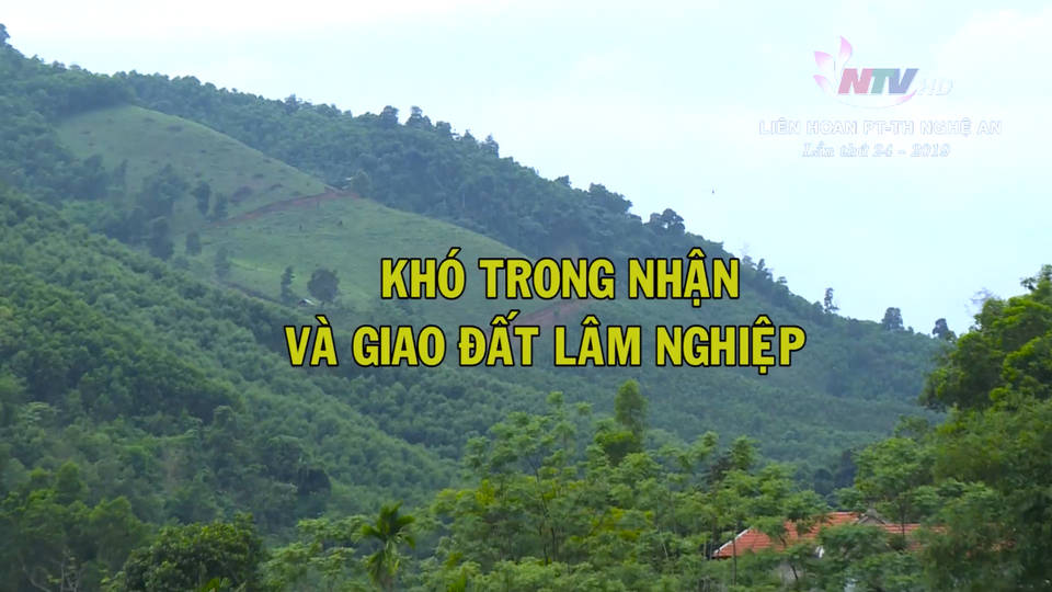 Khó trong nhận và giao đất lâm nghiệp