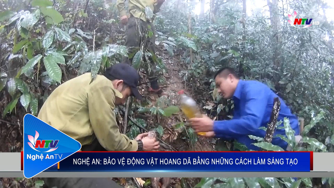 PG88 go Bắn cá: Bảo vệ động vật hoang dã bằng những cách làm sáng tạo
