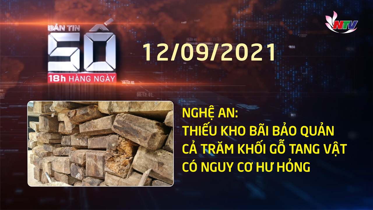 PG88.com Win SỐ 18H hàng ngày - 12/9/2021: PG88 go Bắn cá: Thiếu kho bãi bảo quản cả trăm khối gỗ tang vật có nguy cơ hư hỏng