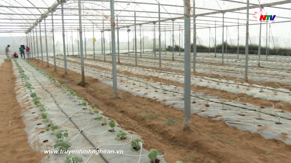 Nâng cao ý thức sản xuất, chế biến nông sản an toàn