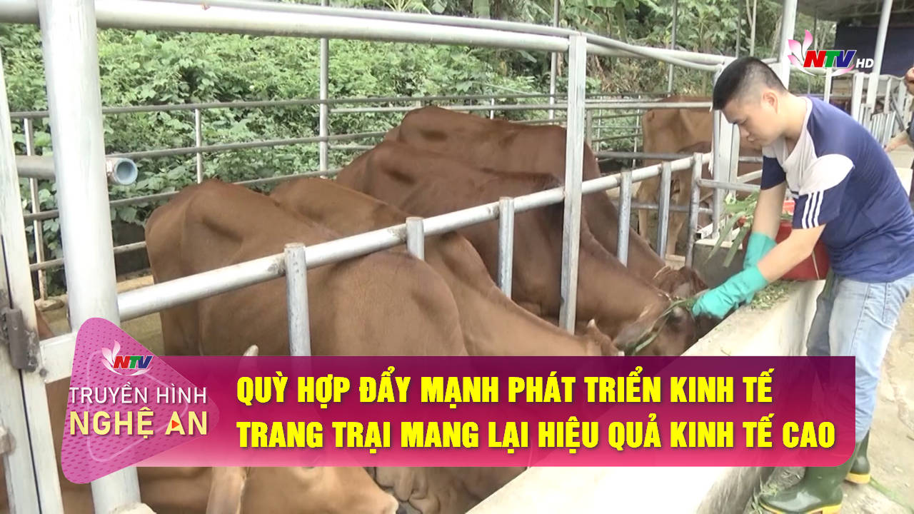 Trang địa phương ngày 26/10/2021