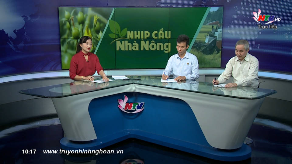 Trang PG Xóc Đĩa nhà nông: Giải pháp chăm sóc cây rau màu phục vụ thị trường tết nguyên đán