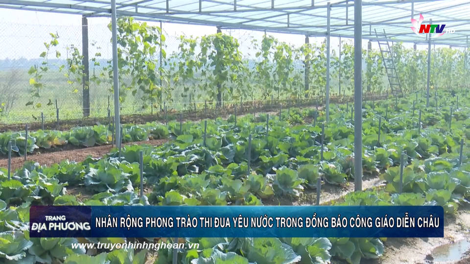 Trang địa phương ngày 22/12/2019