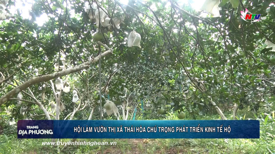 Trang địa phương ngày 23/12/2019