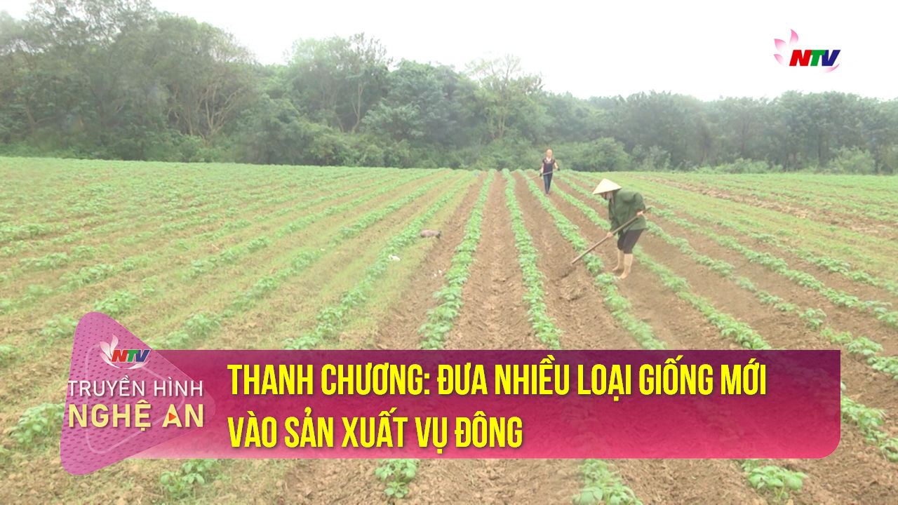 Trang địa phương ngày 04/12/2021