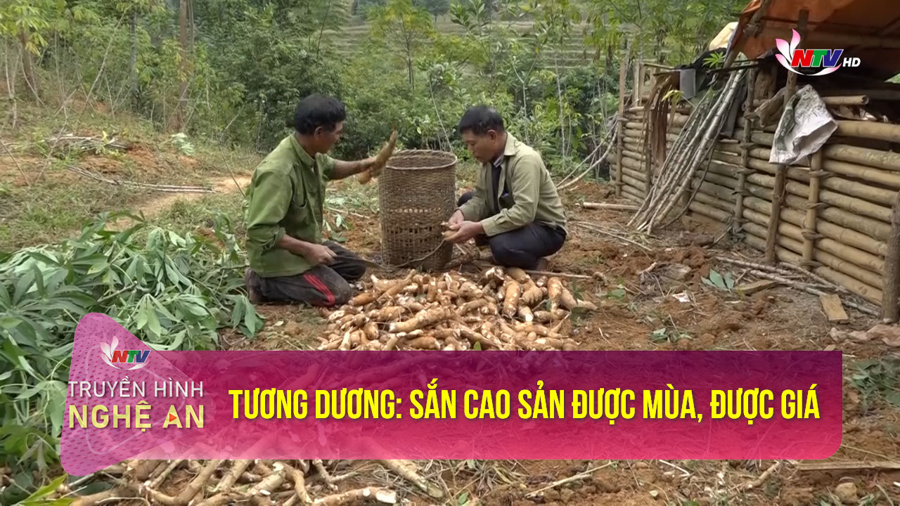 Trang địa phương ngày 17/12/2021