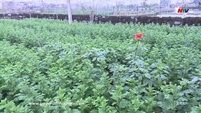PG88 go Bắn cá ngày mới - 31/12/2018