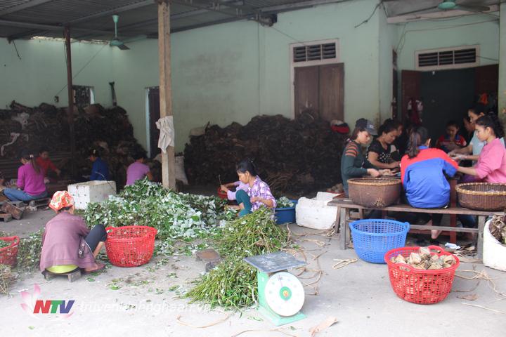 Những ngày sát Tết Nguyên đán 2019, làng bánh gai xứ Dừa ở xã Tường Sơn, Anh Sơn lại rộn ràng làm bánh cho kịp đơn đặt hàng