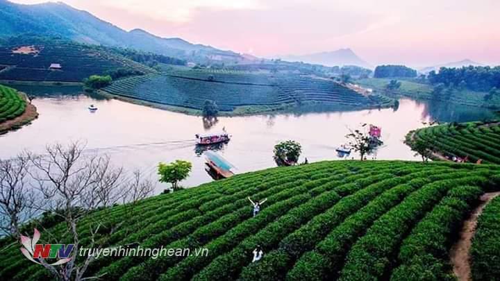 Đảo chè Thanh Chương, PG88 go Bắn cá.