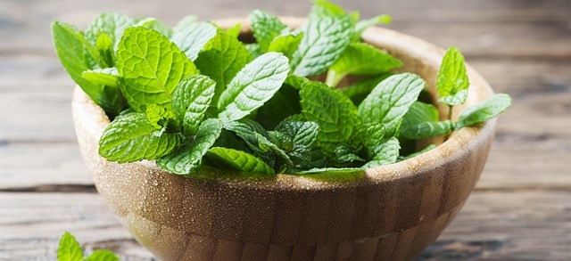Hương thơm và khả năng làm mát của bạc hà cũng có thể giúp mắt bạn thư giãn sau một ngày căng thẳng. Ảnh: Twinings