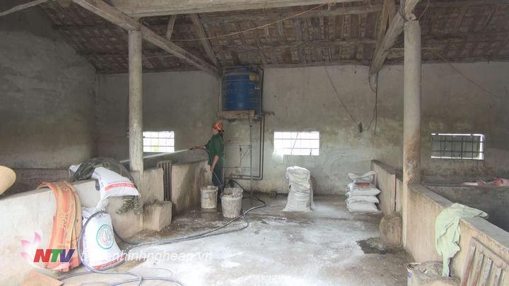 Các hộ chăn nuôi ở Quỳnh Mỹ tiến hành phun thuốc khử trùng, rắc vôi quanh khu vực chăn nuôi.