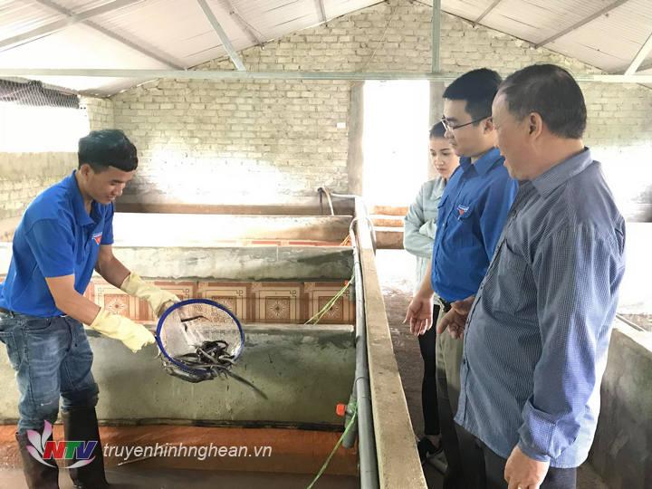 Nhiều đoàn viên trong xã tìm tới tham qua mô hình lươn của gia đình Hưng.