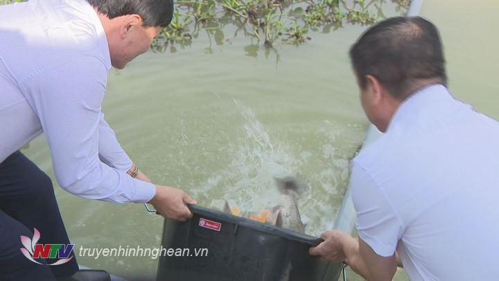 Thả cá giống tại ao cá Bác Hồ.