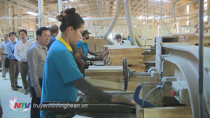 Đoàn tham quan nhà máy chế biến gỗ.
