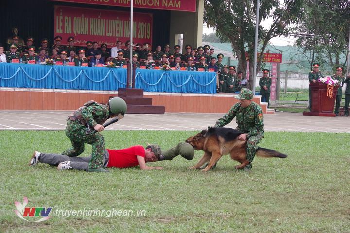 Bộ đội Biên phòng tỉnh sử dụng chó nghiệp vụ để tấn công tội phạm nguy hiểm có sử dụng vũ khí chống trả