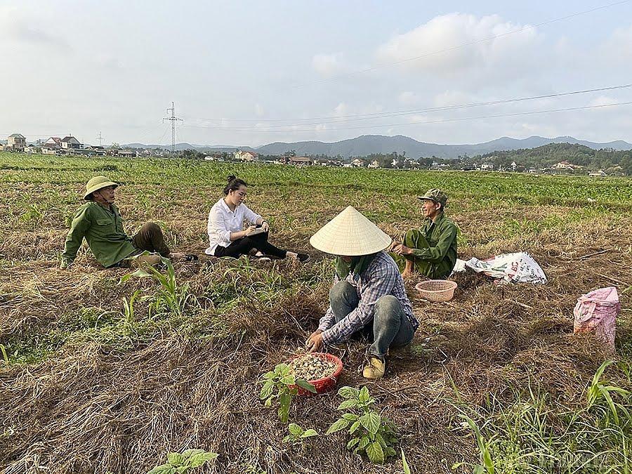 Người dân xã Nghi Lâm thu hoạch hành về nhà cất giữ