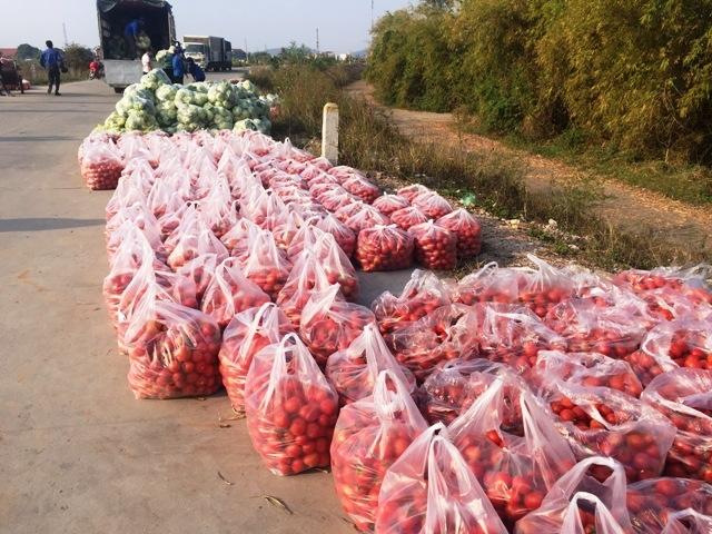  Nông sản được tập kết để chuẩn bị đưa đi tiêu thụ.