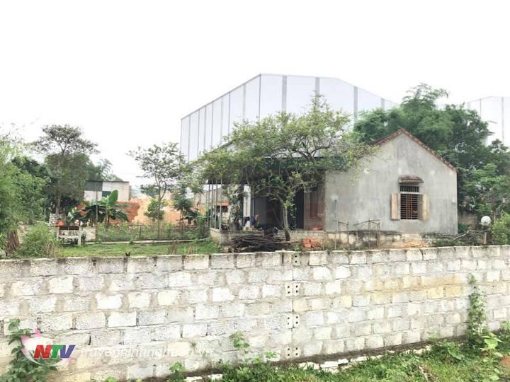 Hộ gia đình ông Vi Văn Mận liên kề với bờ rào nahf máy công ty và là hộ bị ảnh hưởng trực tiếp rất lớn từ nhà máy - cần phải được di dời tái định cư.