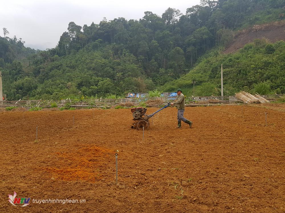 Làm đất chuẩn bị cho sản xuất vụ rau mới.