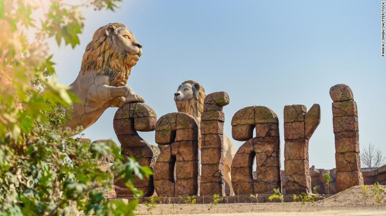 Tượng sư tử ở cổng chào đón du khách tại công viên Safari Etawah, bang Uttar Pradesh. Hai con sư tử tại đây mắc Covid-19 nhưng tình trạng đã ổn định. Ảnh: Shutterstock.