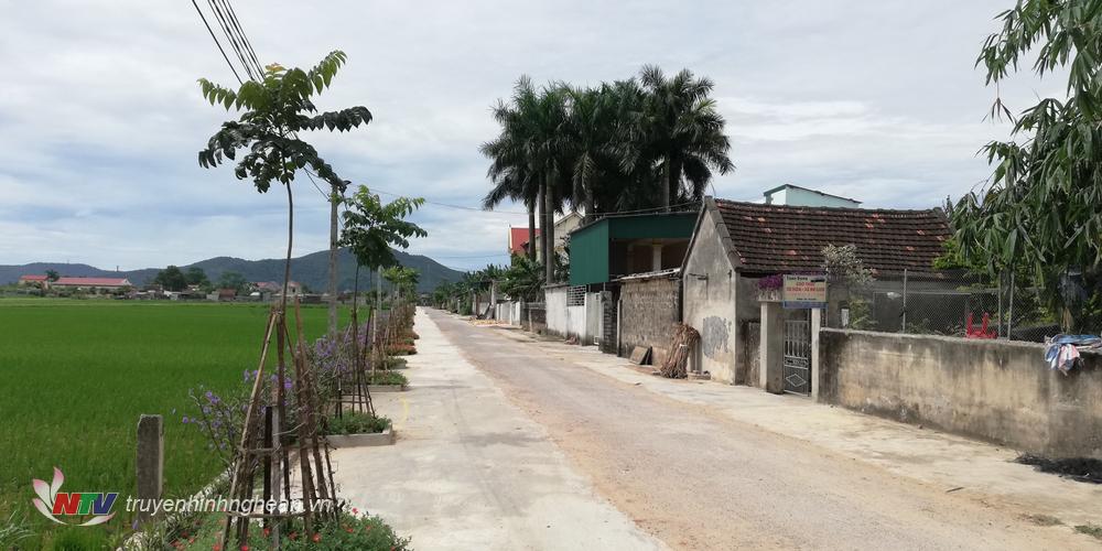  Không chỉ trồng hoa mà các tuyến đường còn trồng các loại cây bóng mát.
