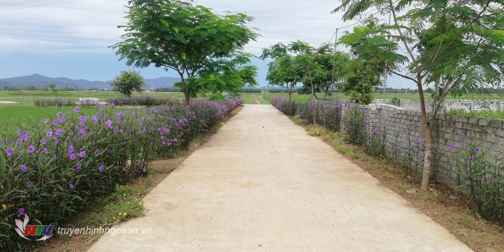 Không chỉ trồng hoa mà các tuyến đường còn trồng các loại cây bóng mát.