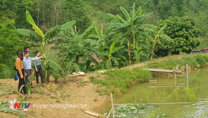 Cán bộ kỹ thuật hướng dẫn 