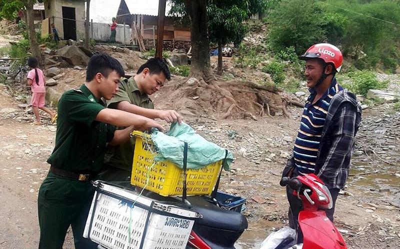 Lực lượng chức năng kiểm tra vận chuyển sản phẩm lợn lên các bản biên giới.