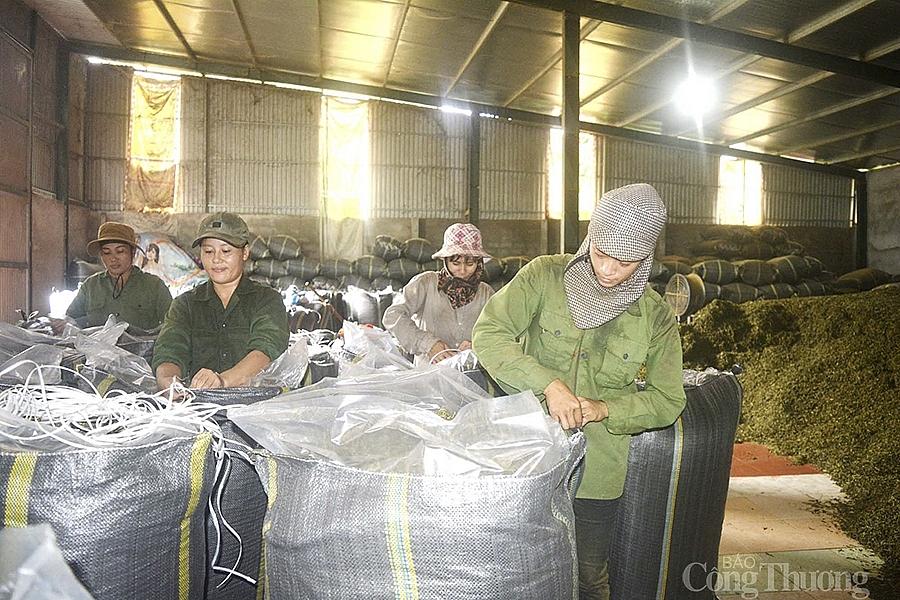 Xưởng chế biến chè tại xã Thanh Mai (Thanh Chương) bao tiêu chè búp tươi cho người dân, nhưng đang rất khó đầu ra.