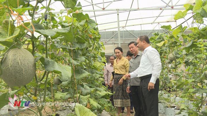 Tham quan các mô hình kinh tế tại 