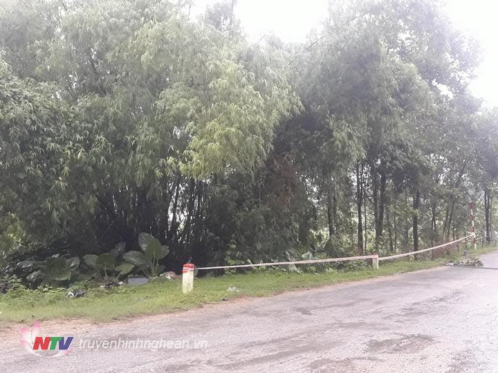 Hiện trường nơi phát hiện tử thi.