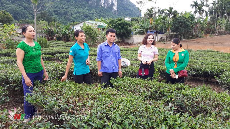 Nhờ đươc vay vốn, nhiều hộ xây dựng mô hình kinh tế thoát nghèo.