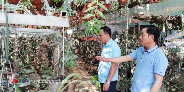 Mô hình trồng hoa, cây cảnh giáo dân Nguyễn Viết Cường- giáo dân xã Diễn Hồng.