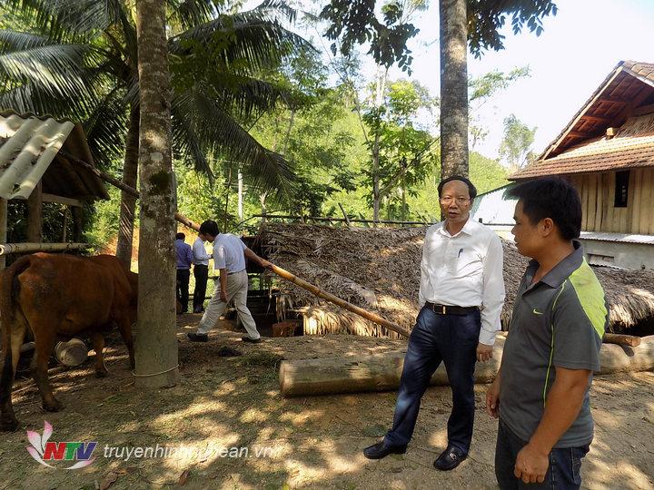 Dc Bùi Thanh An thăm mô hình nuôi bò hiệu quả của gia đình anh Lương văn Nam bản Hiêng xã Bắc Sơn, Quỳ Hợp
