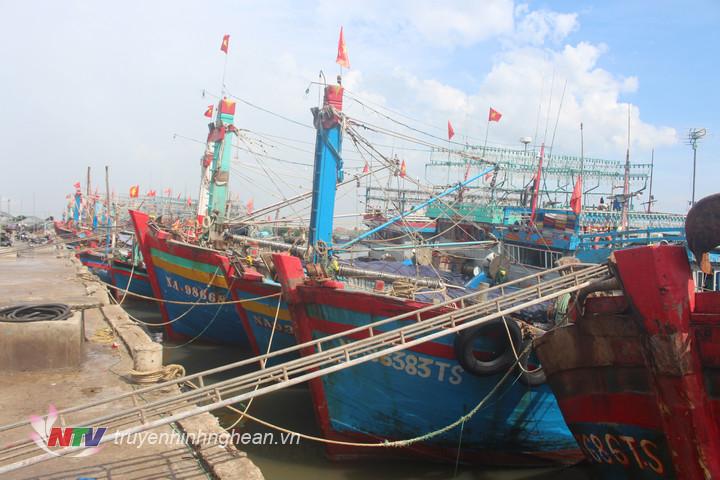 Người dân chủ động chằng chéo giây đảm bảo an toàn cho tàu thuyền.