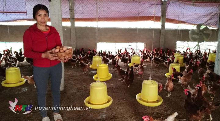  Các đại biểu dự hội nghị