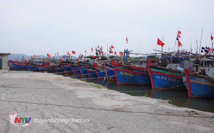 Tàu thuyền của ngư dân đã về neo đậu an toàn tại các bến. (Tư liệu)