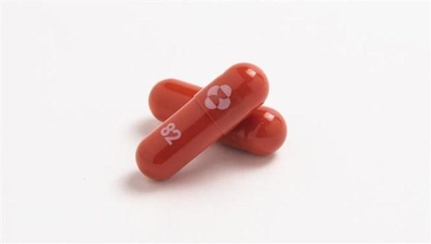 Thuốc kháng virus Molnupiravir của hãng dược phẩm Merck & Co (Mỹ).