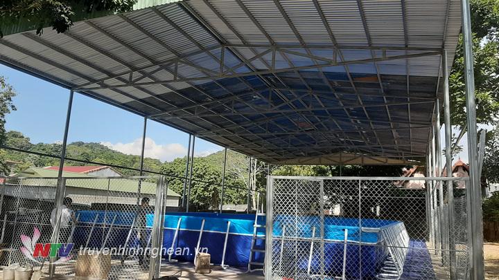 Bể bơi thông minh đầu tiên ở huyện Quỳ Hợp được lắp đặt thí điểm tại trường THCS thị trấn Quỳ Hợp với tổng kinh phí hơn 200 triệu đồng