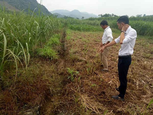 Tuyến kênh hở của trạm bơm Vực Giồng chưa sử dụng nhưng một số đoạn đã bị sập, lở. (Ảnh Internet)
