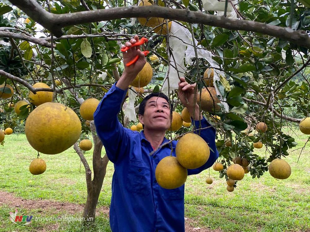 Bười Diễn