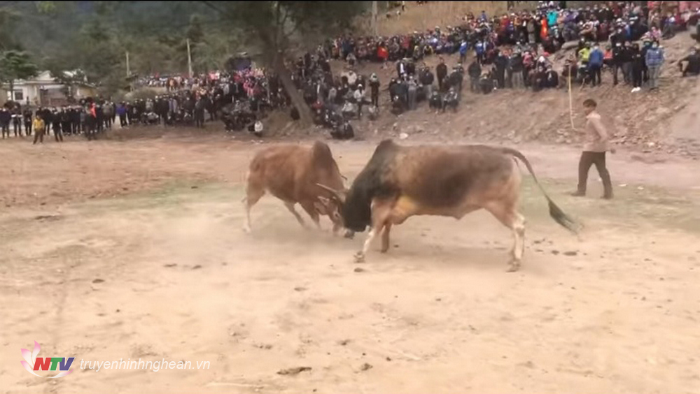 Bà con vui đón mùa xuân mới