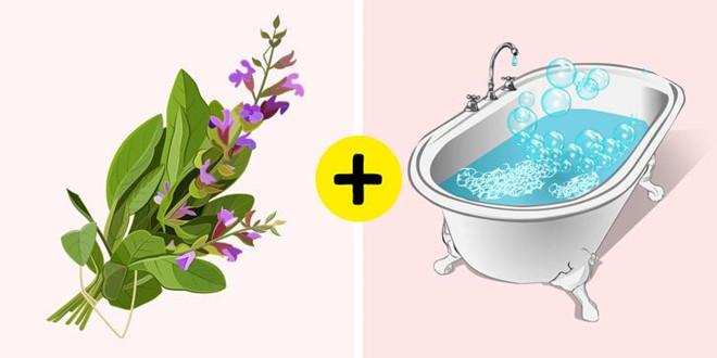 Xô thơm: Loại cây này có chứa flavonoid như apigenin, diosmetin và luteolin. Ngoài ra, thành phần của xô thơm có vitamin, phytoncides giúp chữa các bệnh như cầm máu, tiêu độc, lợi tiểu, lợi mật, chống viêm, làm se và kháng khuẩn. Lá và hoa xô thơm có thể ngăn ngừa mồ hôi. Bạn có thể sắc thuốc hoặc thêm chúng vào bồn tắm để tắm hàng ngày.