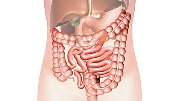 Uống nước cũng làm sạch ruột và ổn định đường tiêu hóa.