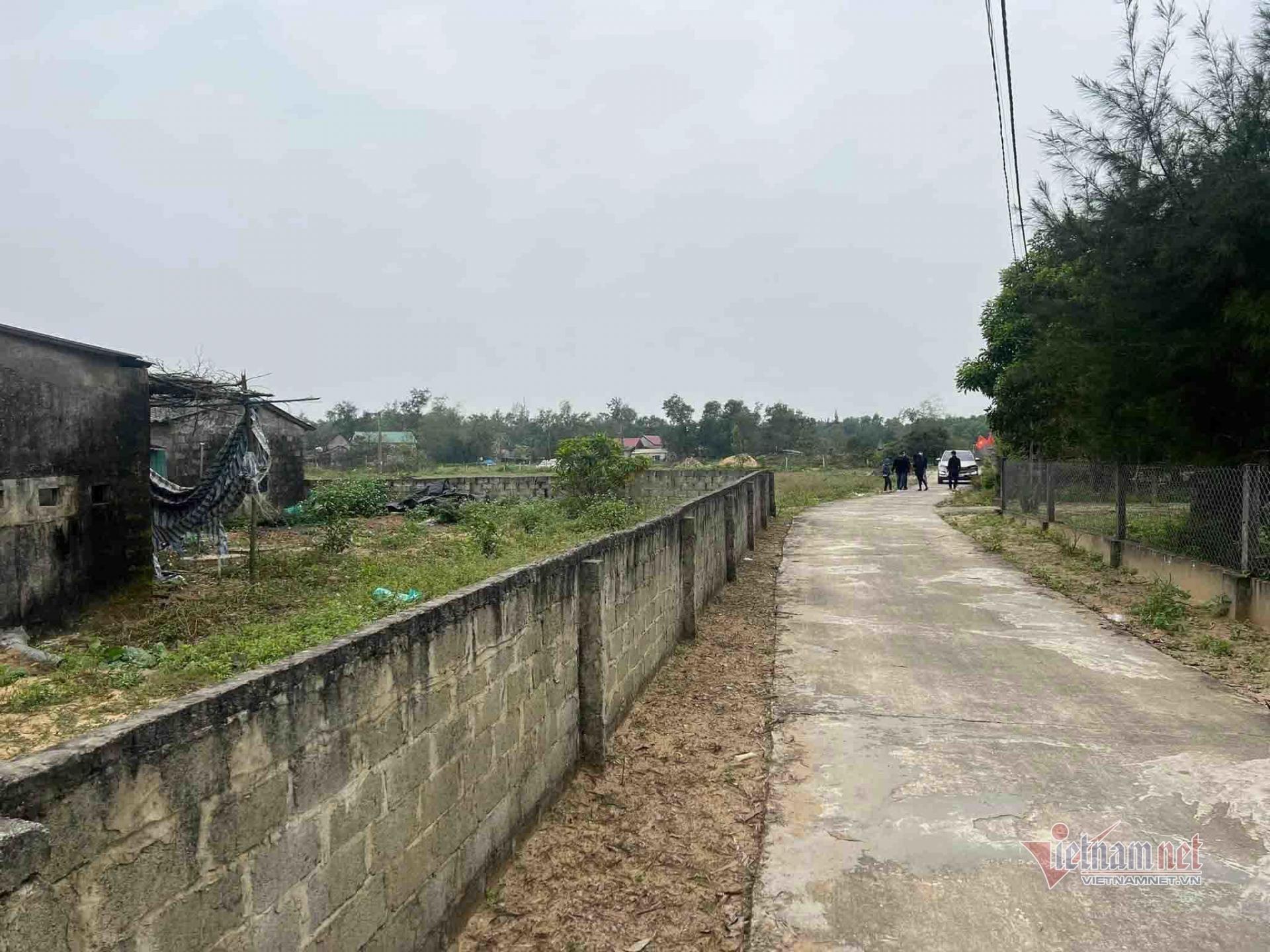 Cò đất về từng ngõ ngách xã Yên Hòa