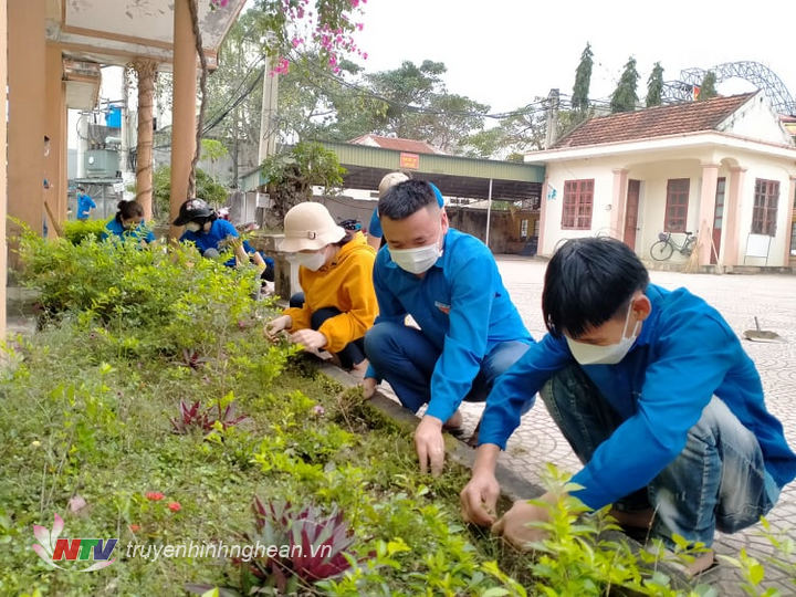 Đảm nhận chăm sóc các bồn hoa, cây cảnh