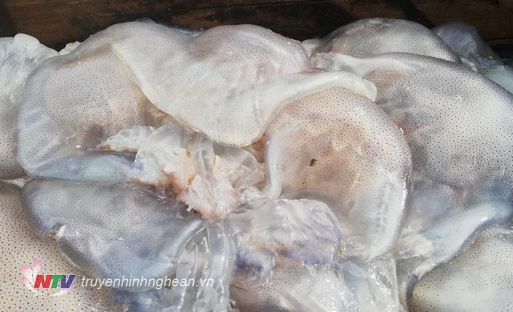 ​  Anh Nguyễn Xuân Khánh cho biết: Một bè chỉ đi một người, 4 giờ sáng ra biển. Khai thác sứa phải đi xa hơn so với cá trích. Mỗi chuyến cho thu nhập ít nhất 500.000 đồng. Mỗi lần khai thác về các chủ buôn tìm đến tận nơi thu mua, không phải mang đi chợ bán.  ​