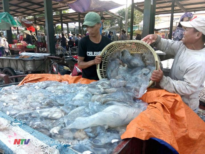 Với sản lượng khoảng 100 tấn/ngày, sứa đều được 3 sơ sở lớn tại biển Diễn Kim và Diễn Hải thu mua với giá 1 triệu đồng/tấn. Tất cả đều được chế biến thành nhiều sản phẩm như sứa khô, sứa ăn liền… phục vụ thị trường trong cả nước và xuất khẩu. 